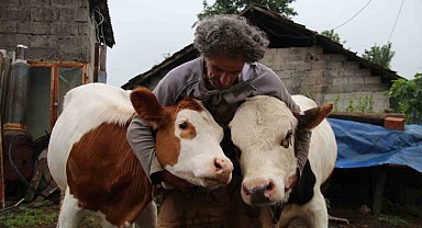 12 yıllık melezleme çalışmasında yeni bir tür büyükbaş hayvan elde etmeyi başardı