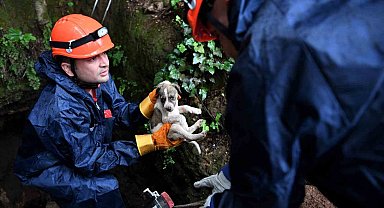 5 metrelik çukurda mahsur kalan yavru köpek kurtarıldı