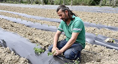 Adabahçe'ye yaz bereketiyle geldi