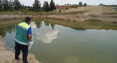 Adıyaman'da haşarat ile mücadelesi devam ediyor