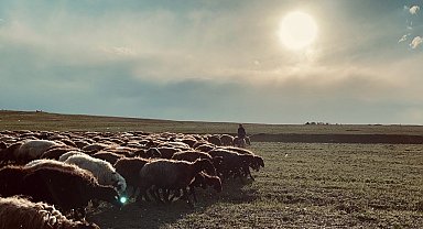 Ağrı'da gün batımı göz kamaştırdı