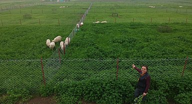 Akademisyenlerden kaliteli ve ucuz et üretimi için proje