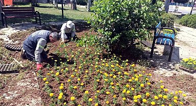 Akdeniz'de yeşil alanlar yenileniyor