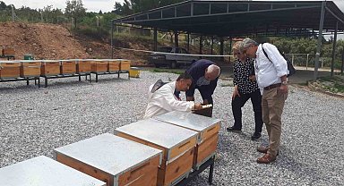 Ana Arı Üretim Merkezinde üretilen arılar teslime hazır