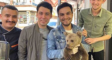 Annesini kaybeden yavru ayı köylüler tarafından bulundu