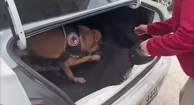 Aracın bagajına gizlenen uyuşturucu böyle bulundu