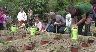 Ata tohumu fideler Üsküdar'da toprakla buluştu