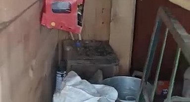 Ayılar yayla evlerini talan etti, vatandaş eve "Selamünaleyküm" diyerek girdi