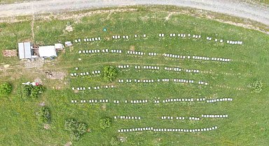 Aylardır Diyarbakır'da olan gezgin arıcı 2,5 ton rekolte bekliyor