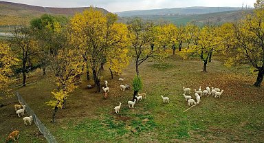 Azerbaycan, Türk turistlerin tatil rotası oldu