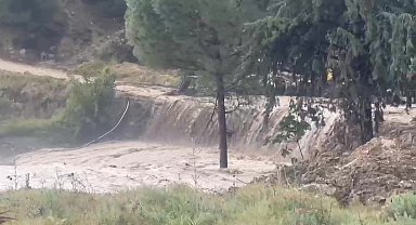 Azgın sular ağaçları devirip önüne çıkan restoranı yuttu