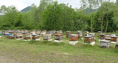 Bahar yağmurları arıcıların yüzünü güldürdü