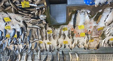 Balık fiyatları düştü, Karadeniz somonu 300 yerine 100 liradan satılıyor