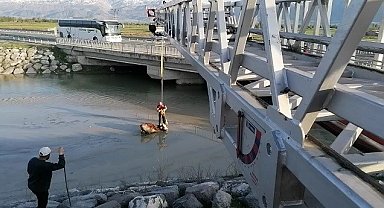 Bataklığa saplanan ineği itfaiye kurtardı