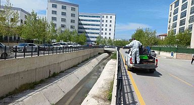 Belediye ekiplerinin vektörel çalışmaları sürüyor