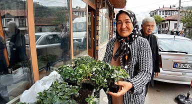 Bolu'da 10 bin fideye yoğun talep