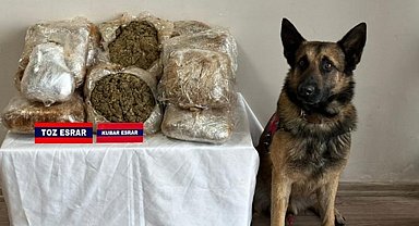 Bolu'da 17 kilo esrar ele geçirildi