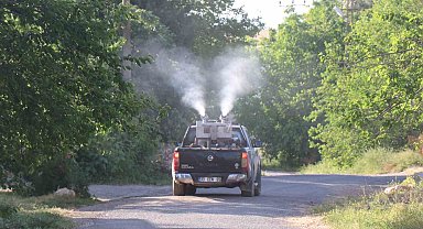 Bozova'da haşereye karşı ilaçlama