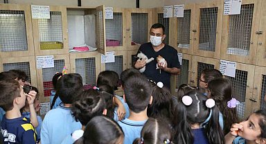 Bu merkez can dostlara 'şifa' oluyor