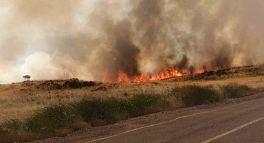 Buğday tarlası küle döndü