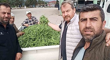 Bursa'da nazende fasulye çıktı