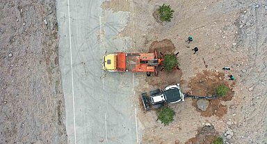 Büyükşehir, Mimarsinan OSB Kavşağı ile refüjleri ağaç taşıma yöntemi ile ağaçlandırıyor