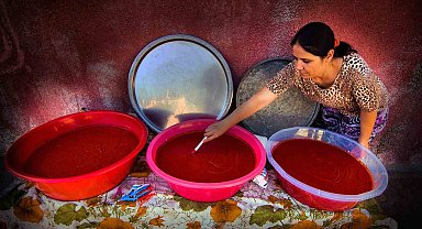 Büyükşehir Salça Üretim Tesisi Fizibilite Projesi'ne destek