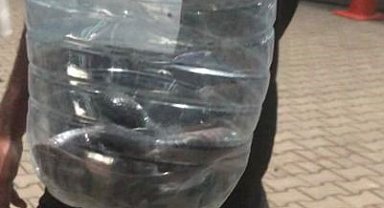 Çadırlar arasında görülen yılan paniğe neden oldu