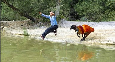 Çal'ın kınalı kuzularını dünya tanıyor