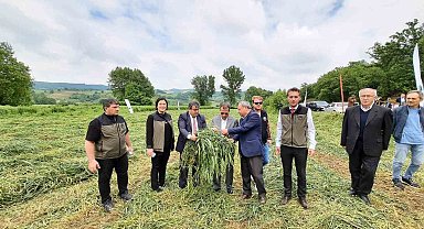 Çan'da Dörtlü Karışım Yem Bitkisi Projesinin hasadı başladı