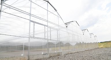 Çiçek üretim serasında sona gelindi