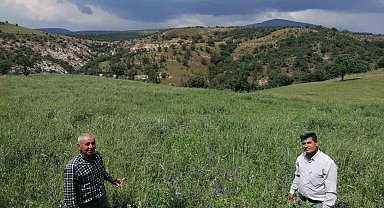 Çiftçiler, büyükşehirin projesinden yüksek verim aldı