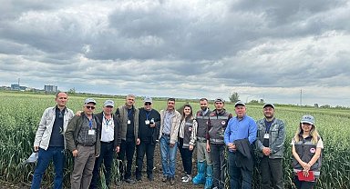 Deneme amacıyla ekilen tahıl ve aromatik bitkiler incelendi