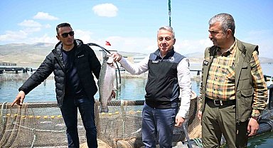 Denizi olmayan Kayseri'de Türk somonu hasadı başladı