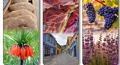 Denizli Ticaret Odası yerel değerlere sahip çıkıyor