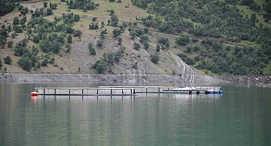Devletin projeleriyle Şırnak'ta balık hasadı yapılıyor
