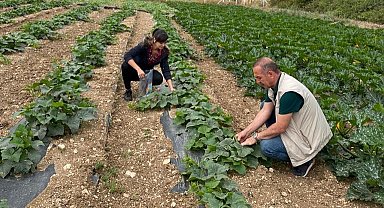 Didim'de hasat öncesi kimyasal kalıntı analizleri yapılıyor