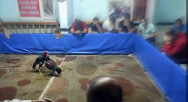 Diyarbakır'da dernekte horoz dövüşü baskını: 117 bin lira para cezası kesildi