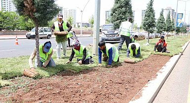 Diyarbakır'da kavşak ve refüjlerde peyzaj çalışmaları devam ediyor