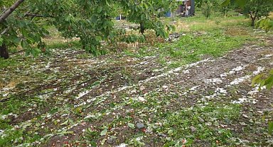 Dolu kiraz ve kayısı bahçelerini vurdu