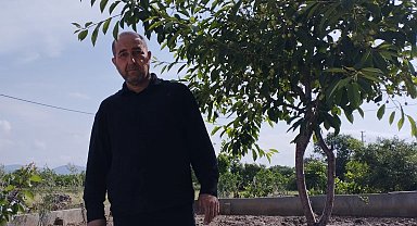 Dolu zararı kiraz üreticisinin belini büktü