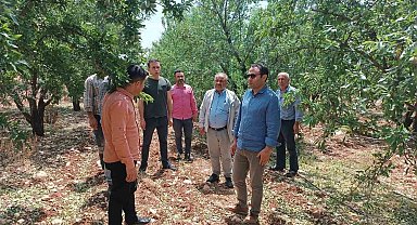 Dolunun zarar verdiği tarım alanları incelendi