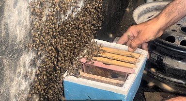 Dükkanını açtığında ilginç bir manzarayla karşılaştı