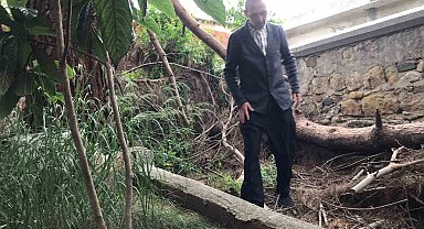 Edremit'te tarihi kabirlerin bakımsızlığı tepkilere neden oldu