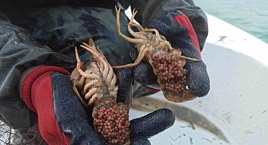 Eğirdir Gölünde 320 adet kerevit sepetine el konuldu