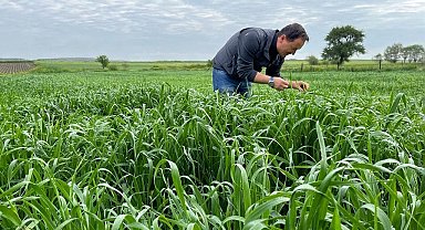Ekili alanlarda zararlı haşerelere karşı mücadele başlatıldı