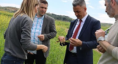 Ekim alanlarında fenolojik gözlem yapıldı