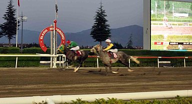 Elazığ Jandarma Koşusu'nu Göbeklitepe Ağası kazandı