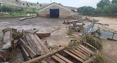 Elazığ'da sağanak yağış hayatı felç etti, 105 hayvan telef oldu