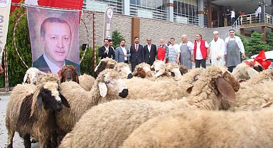 Elazığlı iş adamı, yeniden seçilen Cumhurbaşkanı Erdoğan için 20 adak kurbanı kesti